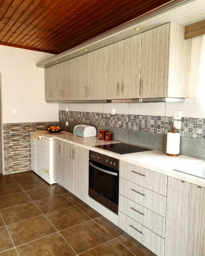 Repanidi Apartment D / Ρεπανίδι Διαμέρισμα Δ Repanidhion Экстерьер фото