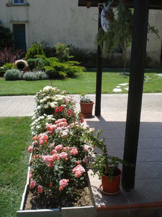 Repanidi Apartment D / Ρεπανίδι Διαμέρισμα Δ Repanidhion Экстерьер фото