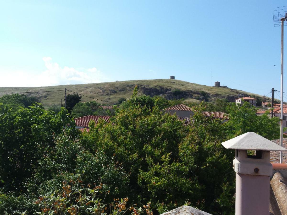 Repanidi Apartment D / Ρεπανίδι Διαμέρισμα Δ Repanidhion Экстерьер фото